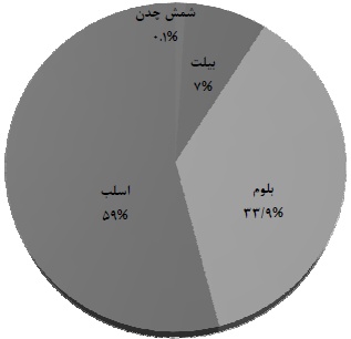 کسب رتبه نخست در تولید اسلب