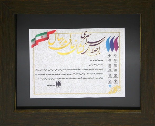 دریافت نشان عالی مدیر سال توسط دکترابراهیمی مدیرعامل بانک انصار