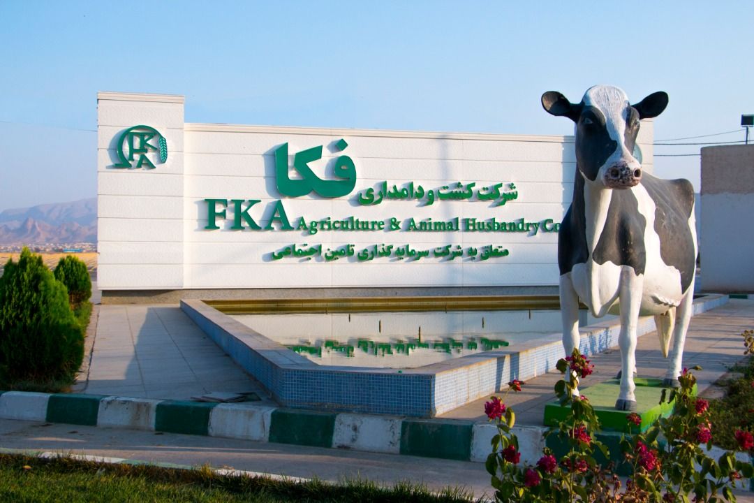 افزایش درآمدعملیاتی زفکا در سال 97 افزایش درآمدعملیاتی زفکا در سال 97
