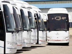 زیرگرفتن خودروسازان با واردات اتوبوس دست دوم
