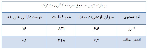 معرفی صندوق های پیشرو در کسب بازدهی مثبت و منفی