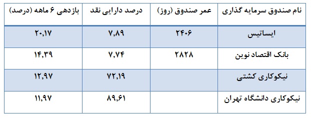 کارنامه عملکرد نیمه اول صندوق های سرمایه گذاری