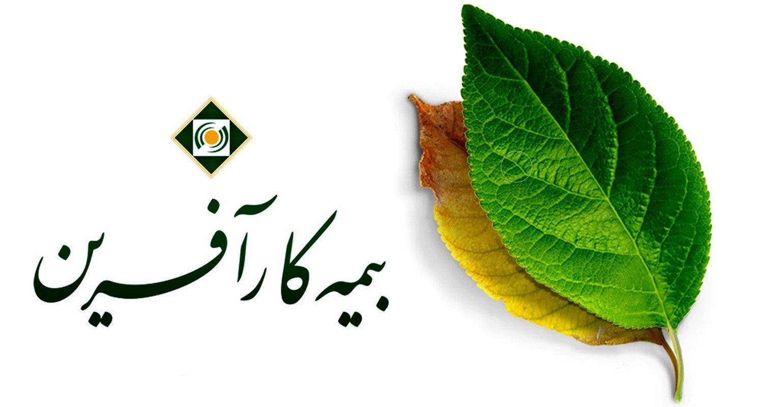 خبرهای تازه از مجمع «وآفری» / تقسیم هیچ بین سهامداران خبرهای تازه از مجمع «وآفری» / تقسیم هیچ بین سهامداران