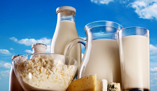 افزایش 15برابری صادرات شیر و فرآورده های لبنی 