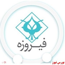 بازدهی سالیانه ۱۹۶درصدی صندوق 