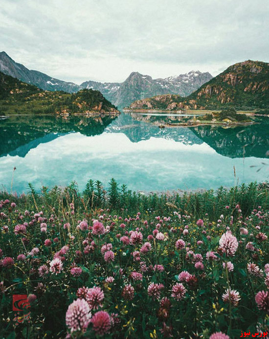  طبیعت زیبای مجمع‌الجزایر لوفوتن (Lofoten) منطقه ای در شهرستان نوردلند واقع در نروژ + بورس نیوز