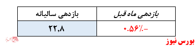 بازدهی منفی 