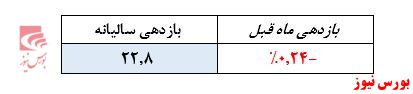 بازدهی منفی 