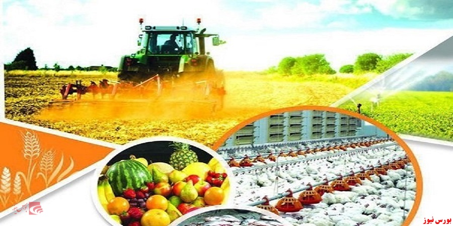 تشویق کشاورزان با تعیین نرخ خرید تضمینی محصولات آنها