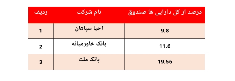 تمرکز سرمایه‌گذاری 