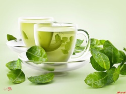 چای سبز بنوشید