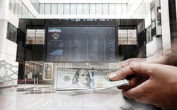واکنش واکنش