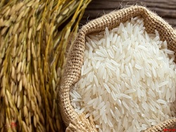 آغاز معاملات گواهی سپرده برنج طارم مازندران