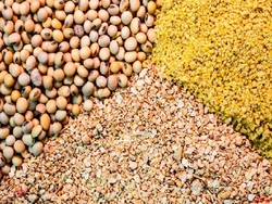 دیدار سهامداران دیدار سهامداران