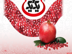 سود ۵۳ ریالی سهامداران از مجمع سود ۵۳ ریالی سهامداران از مجمع