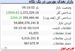 شاخص در دقایق ابتدایی رشد ۱۳ هزارواحدی دارد