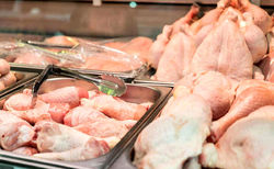 حداقل تا دو ماه آینده تغییری در قیمت مرغ ایجاد نخواهد شد