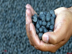 میزبانی بورس کالا از ۵۴۹ هزار تن گندله سنگ آهن