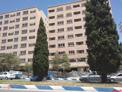 سهامداران سهامداران