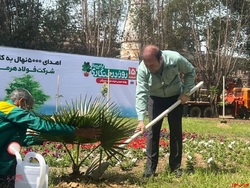 اهدای ۵۰۰۰ نهال با شعار هر فولادی یک نهال اهدای ۵۰۰۰ نهال با شعار هر فولادی یک نهال