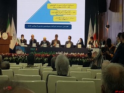 سهامداران سهامداران