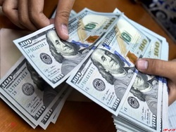 افزایش نرخ ۱۵ ارز براساس اعلام بانک مرکزی