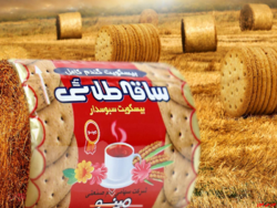 زمان پرداخت سود زمان پرداخت سود