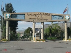 سکته ناقص 