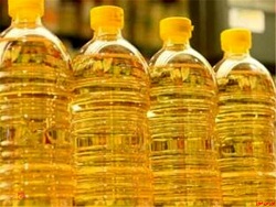 صدای مجمع صدای مجمع