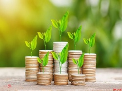 انتخاب هیات مدیره در مجمع انتخاب هیات مدیره در مجمع