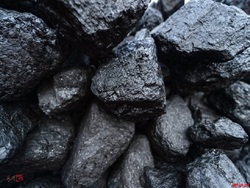 افزایش محسوس نرخ کنسانتره زغال سنگ 