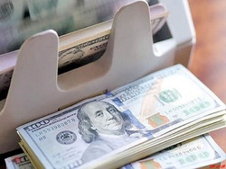 نرخ رسمی ۴۶ ارز امروز تغییری نکرد نرخ رسمی ۴۶ ارز امروز تغییری نکرد