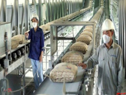 کیسههای سیمان و حجم معاملات ۲۱ هزار تنی بورس کالا کیسههای سیمان و حجم معاملات ۲۱ هزار تنی بورس کالا