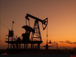 با کاهش ذخیره‌سازی‌های آمریکا قیمت نفت افزایش یافت