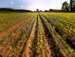 تقسیم سود ۸۰ ریالی در مجمع