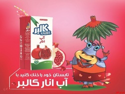 سهامداران
