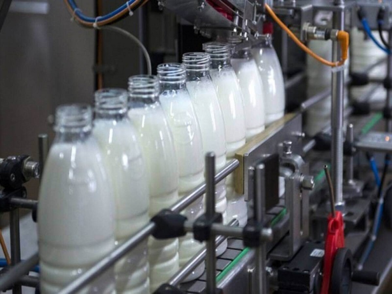 افزایش درآمد غفارس با فروش شیر+بورس نیوز