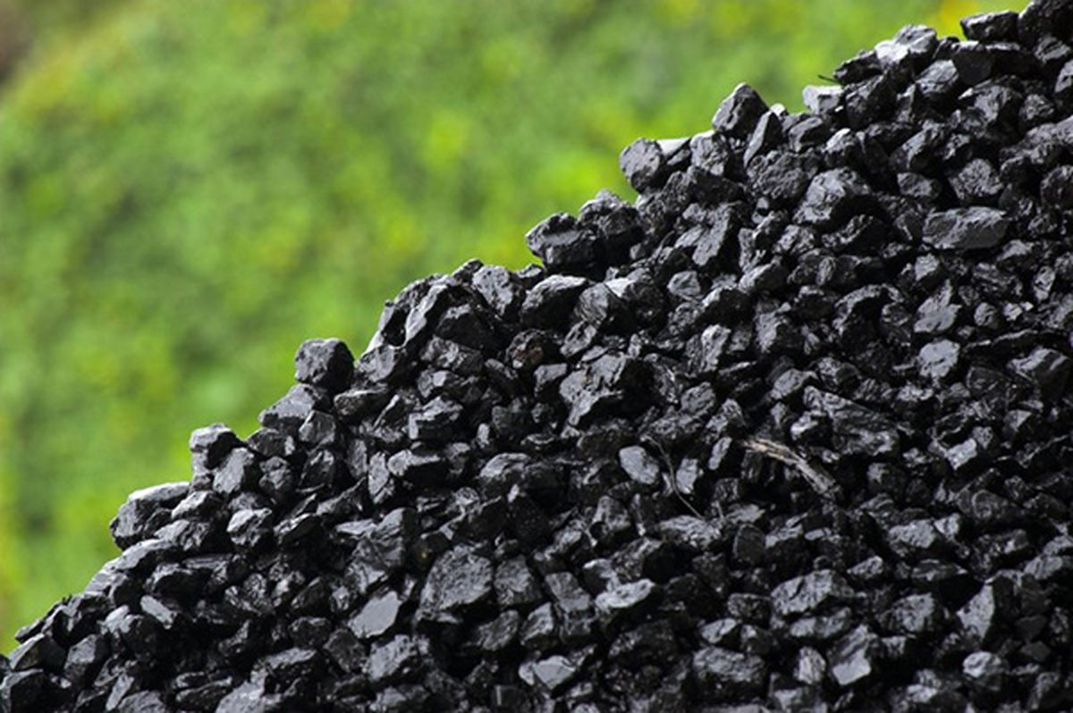 دلیل صف خرید امروز زغال سنگی ها چیست؟