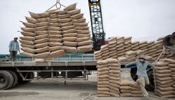 وعده کاهش محسوس قیمت سیمان در هفته های پیش رو