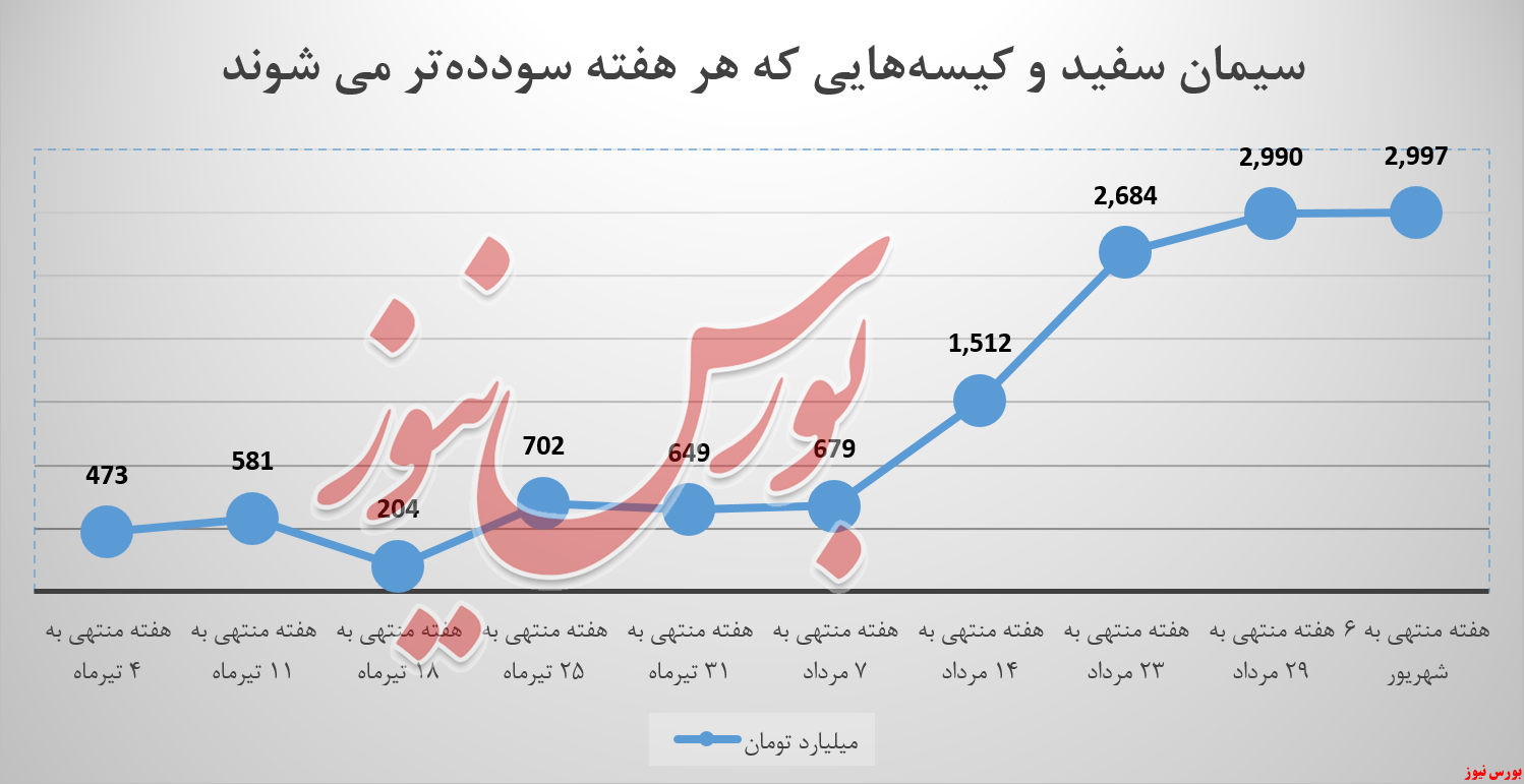 سیمان سفید و کیسه‌هایی که هر هفته سودده‌تر می‌شوند