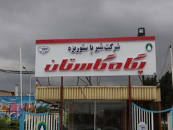 «انواع پنیر» یکهتاز کسب درآمد در «انواع پنیر» یکهتاز کسب درآمد در