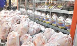 عدم رعایت قیمت مصوب مرغ در مراکز توزیع