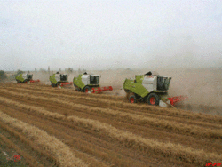 رونمایی 