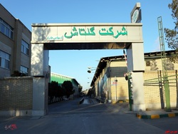 سرمایه مصوب در مجمع سرمایه مصوب در مجمع