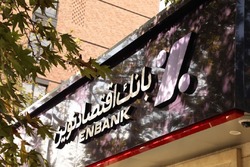 هفت ماه طلایی در کارنامه ونوین ثبت شد هفت ماه طلایی در کارنامه ونوین ثبت شد