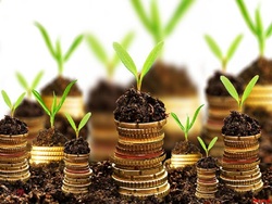 ترکیب هیات مدیره ترکیب هیات مدیره