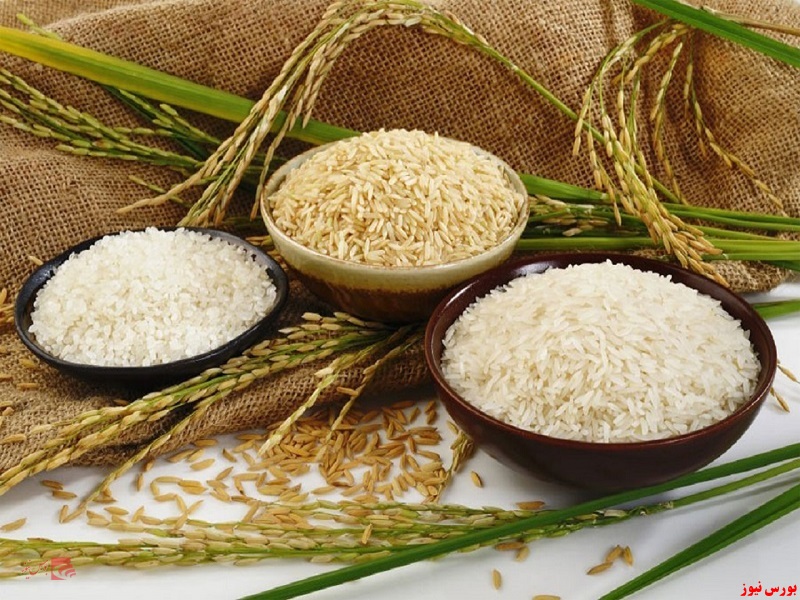 خرید برنج از بورس کالا آغاز شد