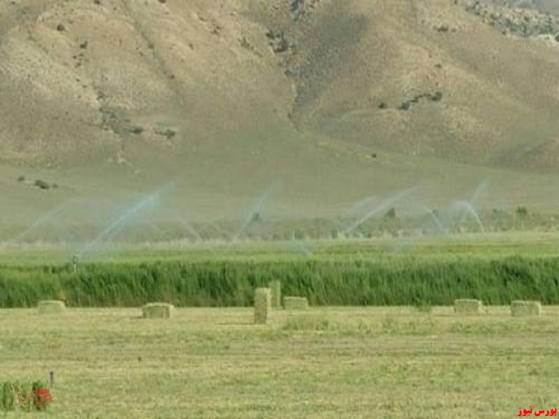 هیات مدیره جدید 