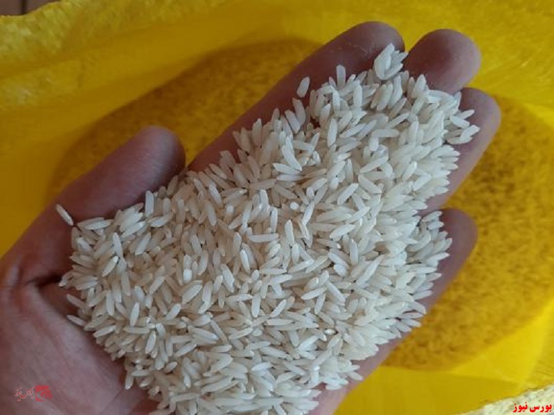 برنج+بورس نیوز