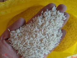 احتکار و دلال بازی دلیل اصلی افزایش قیمت برنج ایرانی است